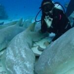 Buceo en las islas Maldivas con tiburones nodriza