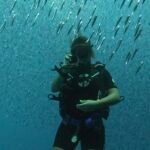 buceo con botella rodeada de un banco de peces pequeños en medio del océano indico en el bautismo de buceo del viaje en grupo a maldivas