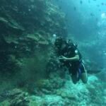 buceo con botella en un arrecife lleno de vida marina en frente de la isla local de maafushi en maldivas