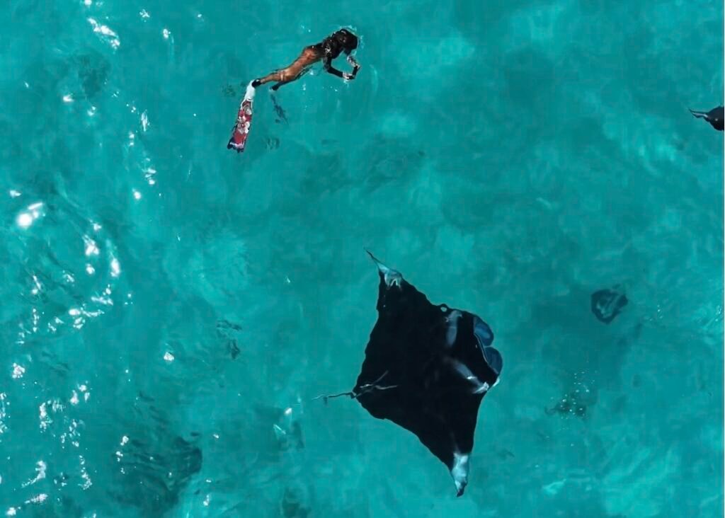 foto aerea de una integrante del viaje en grupo a Maldivas haciendo snorkel en superficie con una mantarraya de arrecife