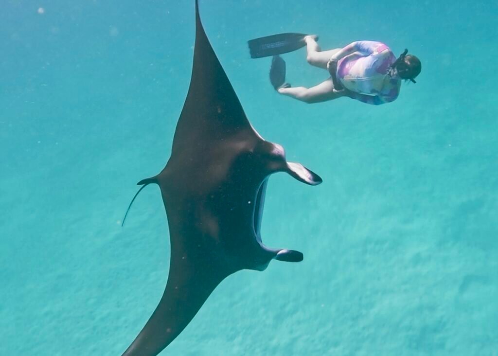 haciendo apnea con una manta raya en una laguna con fondo arenoso de las islas maldivas
