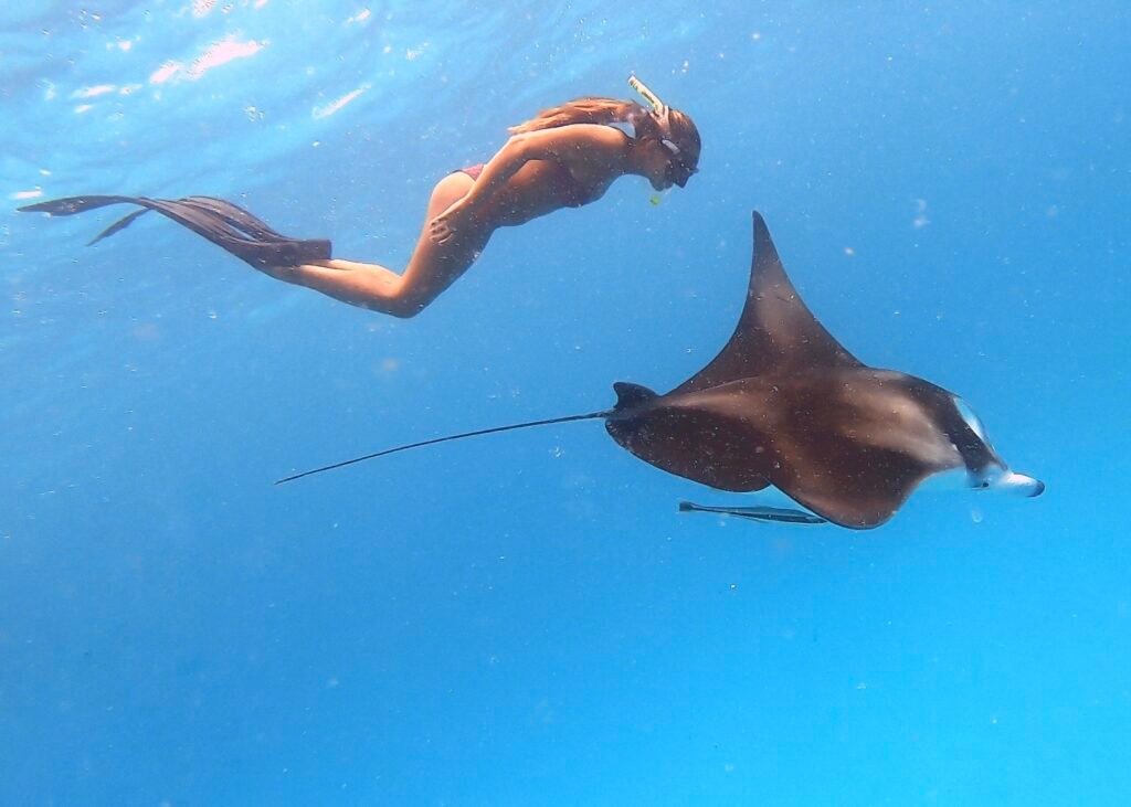 haciendo snorkel por primera vez en Maldivas con una mantaraya de arrecife