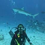 buceo con botella en las islas maldivas cerca de male con tiburones tigre y peces