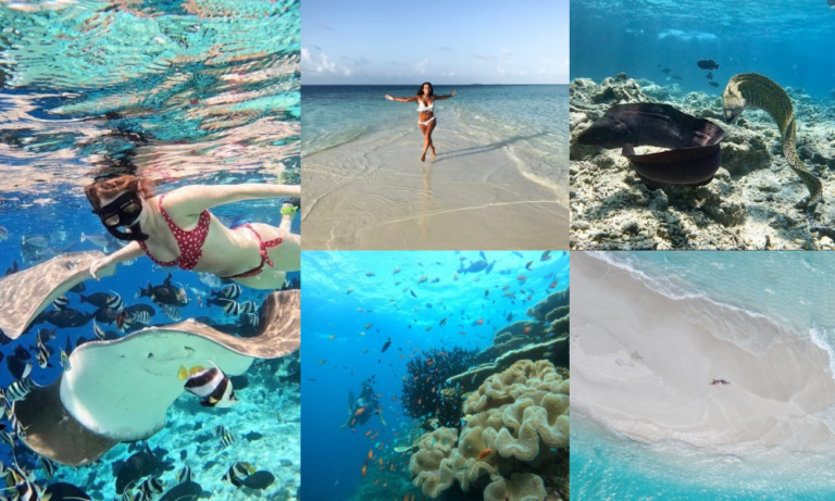 Excursion de snorkel de medio dia, tanque de peces, morenas, rayas, peces, corales, vida marina, banco de arena, agua, turquesa, azul