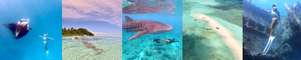 nadando con mantas rayas, tortuga marina saliendo a la superficie a respirar, viajera nadando con el tiburón ballena en superficie, vista aerea foto con drone de un banco de arena de maldivas, snorkel en un barco hundido